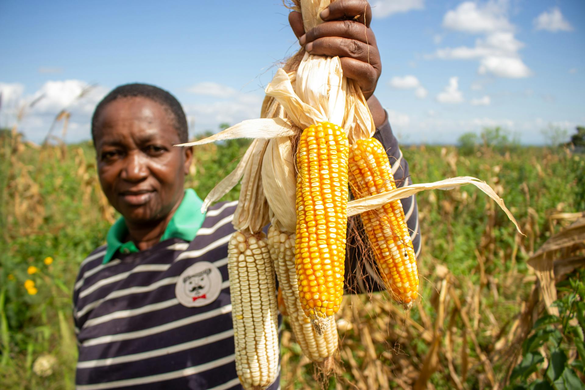 A Ugandan smallholder farmer smiling in a healthy maize field after securing affordable farm loans