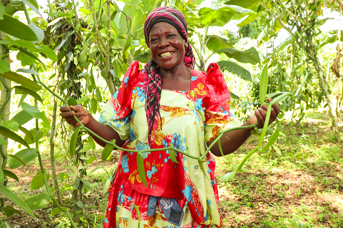 Agriculture Loans in Uganda: A Farmer’s Guide to Accessing Credit